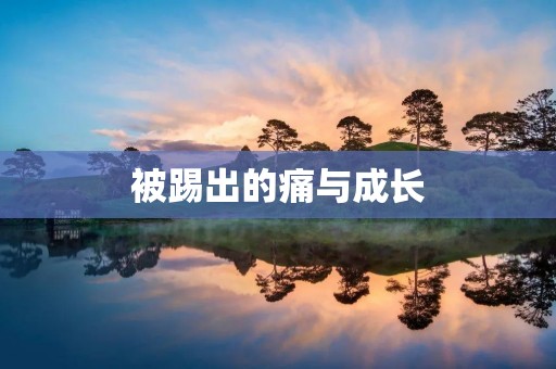 被踢出的痛与成长 被踢出的痛与成长