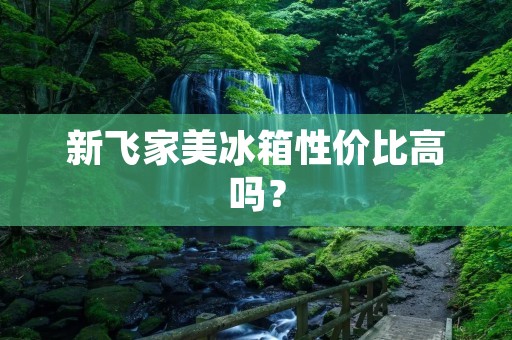 新飞家美冰箱性价比高吗？