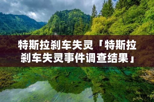 特斯拉刹车失灵「特斯拉刹车失灵事件调查结果」