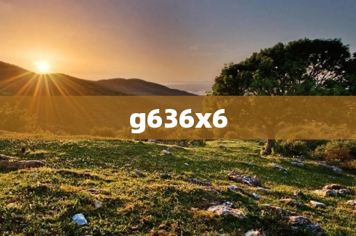 g636x6:一款高性能的游戏手机 g636x6:一款高性能的游戏手机