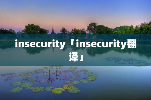 insecurity「insecurity翻译」