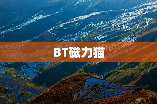 BT磁力猫:一站式磁力搜索引擎 BT磁力猫:一站式磁力搜索引擎