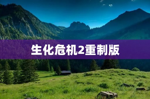 生化危机2重制版：经典重现，全新体验