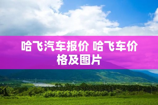 哈飞汽车报价 哈飞车价格及图片