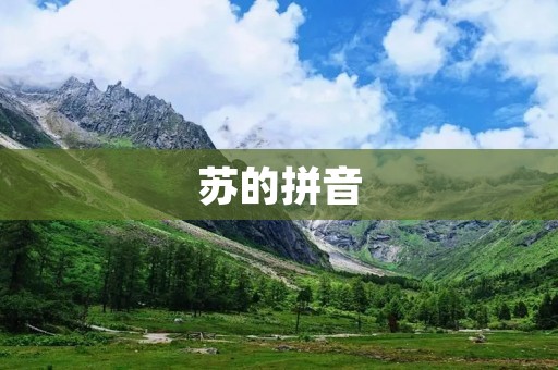 苏的拼音：探寻苏字的历史和文化底蕴