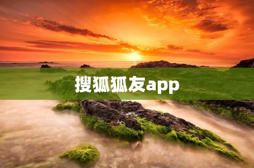 搜狐狐友app:打造全新社交交友平台 搜狐狐友app:打造全新社交交友平台