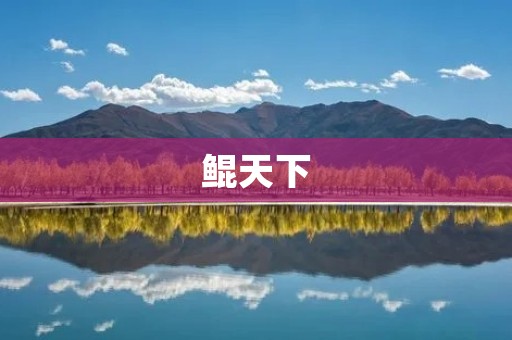 鲲天下:激荡创新浪潮 鲲天下:激荡创新浪潮