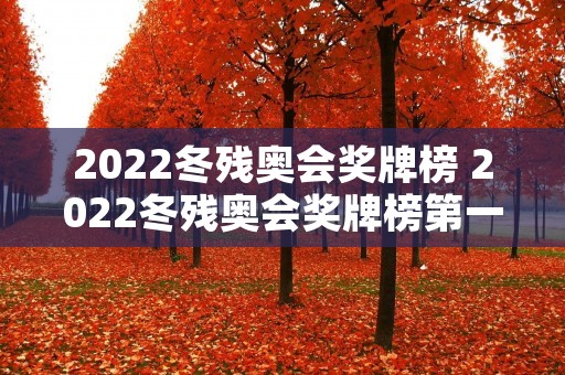 2022冬残奥会奖牌榜 2022冬残奥会奖牌榜第一名国家