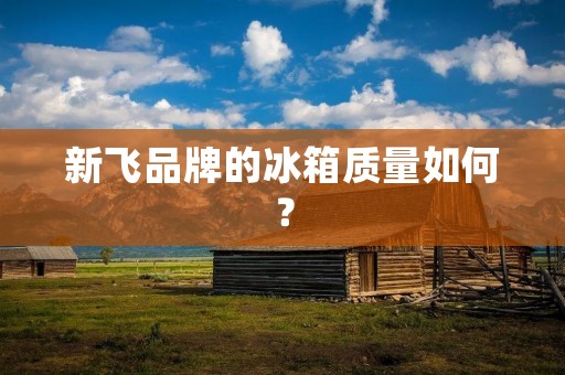 新飞品牌的冰箱质量如何? 新飞品牌的冰箱质量如何?