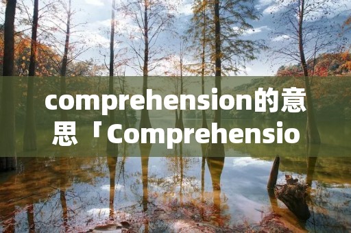 comprehension的意思「Comprehension什么意思中文」