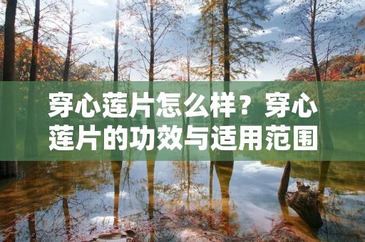 穿心莲片怎么样？穿心莲片的功效与适用范围详细解析