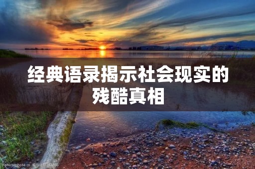 经典语录揭示社会现实的残酷真相