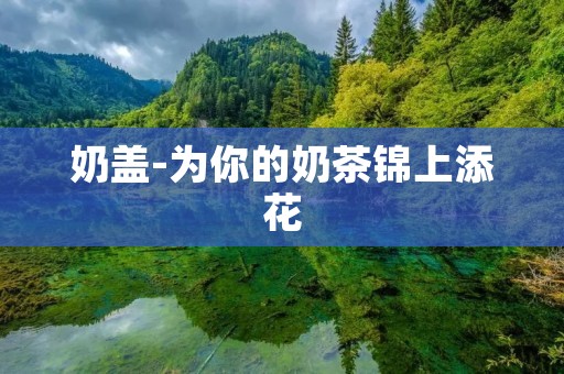奶盖-为你的奶茶锦上添花 奶盖-为你的奶茶锦上添花