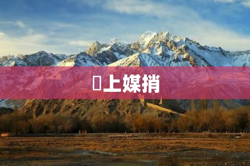 囍上媒捎：婚礼定制专家为您带来完美婚礼体验
