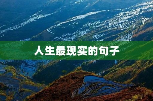 人生最现实的句子：努力不一定成功，但不努力一定不会成功