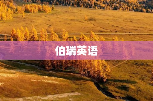 伯瑞英语:打破语言障碍,开启全球交流之门 伯瑞英语:打破语言障碍,开启全球交流之门