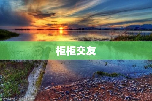 柜柜交友：开启新时代的线上社交平台