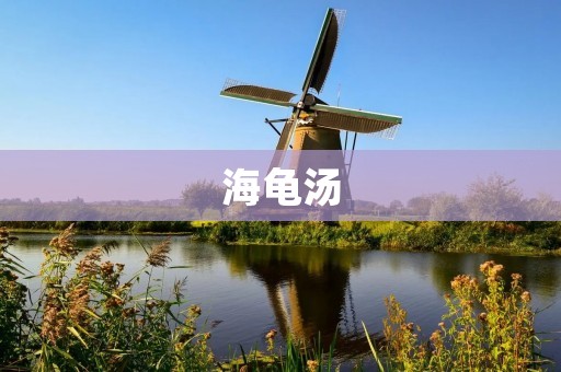 海龟汤:滋补养生的海洋珍品 海龟汤:滋补养生的海洋珍品