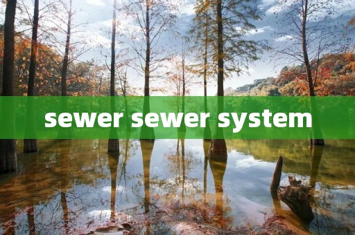 sewer sewer system sewer sewer system