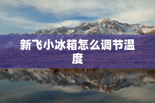 新飞小冰箱怎么调节温度:详细解析 新飞小冰箱怎么调节温度:详细解析