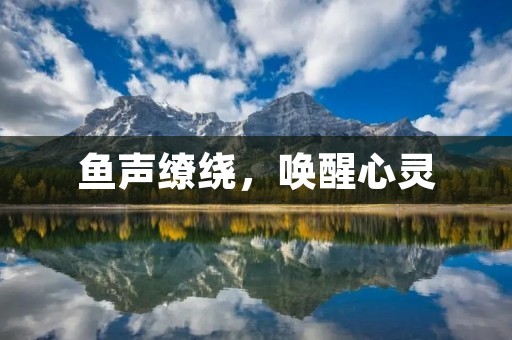 鱼声缭绕，唤醒心灵：探寻自然之美