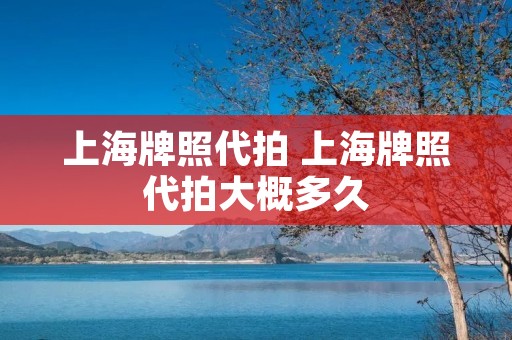 上海牌照代拍 上海牌照代拍大概多久