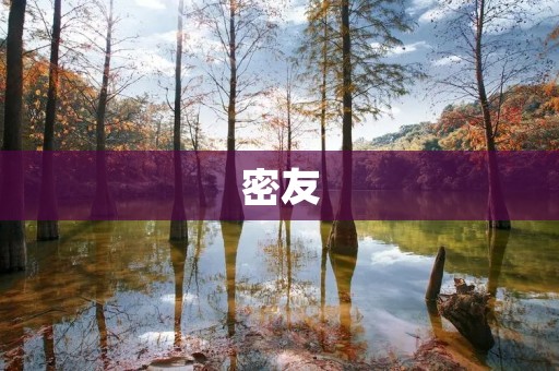 密友：纵横情海，共度人生