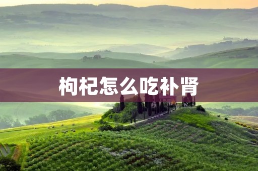 枸杞怎么吃补肾：养肾之道