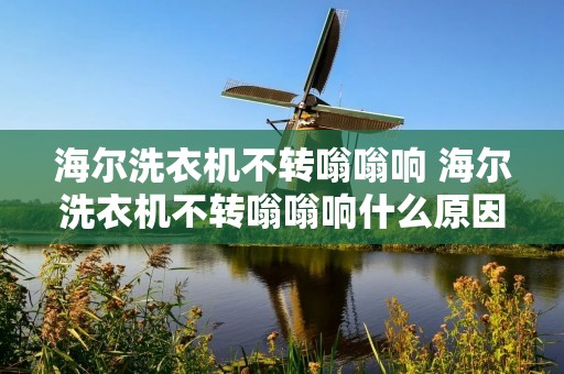 海尔洗衣机不转嗡嗡响 海尔洗衣机不转嗡嗡响什么原因 海尔洗衣机不转嗡嗡响 海尔洗衣机不转嗡嗡响什么原因