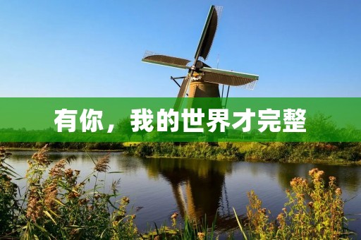有你，我的世界才完整
