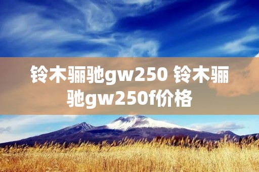 铃木骊驰gw250 铃木骊驰gw250f价格