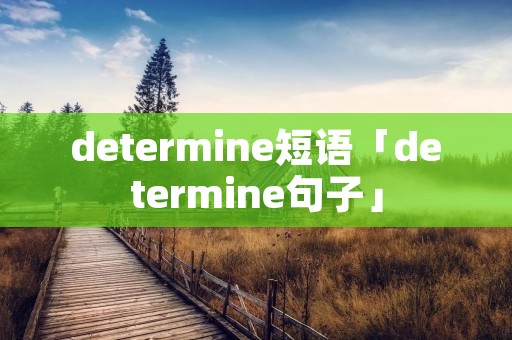 determine短语「determine句子」