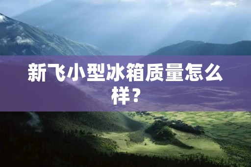 新飞小型冰箱质量怎么样？