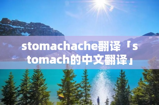 stomachache翻译「stomach的中文翻译」