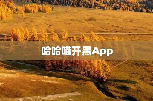 哈哈喵开黑App:打破孤单游戏时光,找到志同道合的小伙伴 哈哈喵开黑App:打破孤单游戏时光,找到志同道合的小伙伴