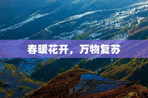 春暖花开,万物复苏:探索大自然中的春天魅力