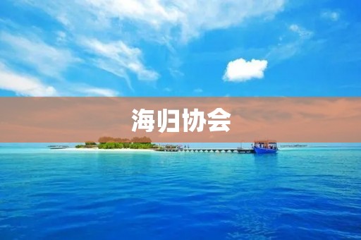 海归协会:连接海外人才,促进国家发展 海归协会:连接海外人才,促进国家发展