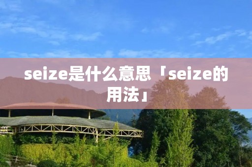 seize是什么意思「seize的用法」 seize是什么意思「seize的用法」