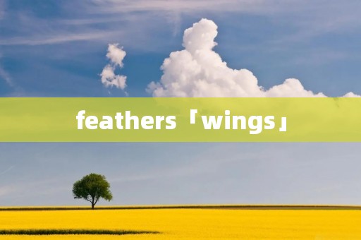 feathers「wings」