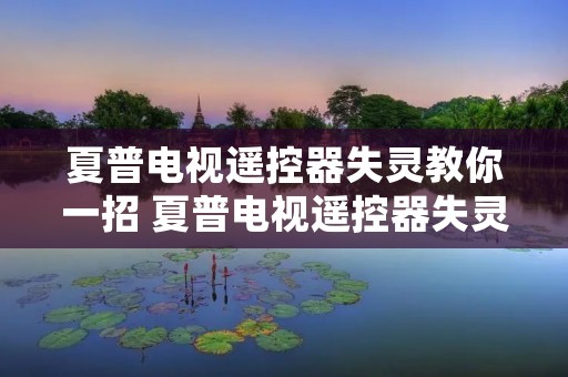 夏普电视遥控器失灵教你一招 夏普电视遥控器失灵按什么键解锁 夏普电视遥控器失灵教你一招 夏普电视遥控器失灵按什么键解锁