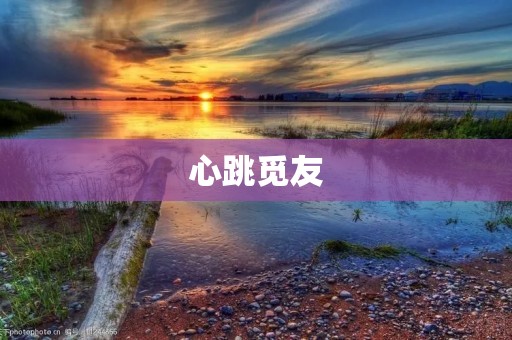 心跳觅友：寻找与你心跳相契合的伴侣