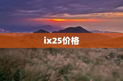 ix25价格：与豪华SUV相比，性价比更高的选择
