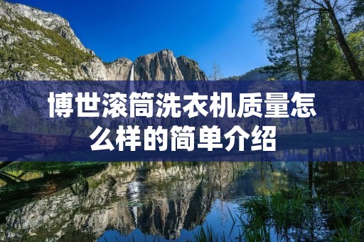 博世滚筒洗衣机质量怎么样的简单介绍