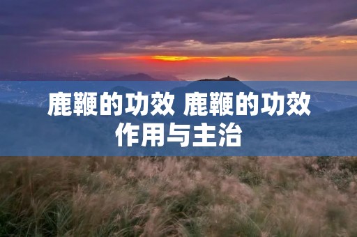 鹿鞭的功效 鹿鞭的功效作用与主治