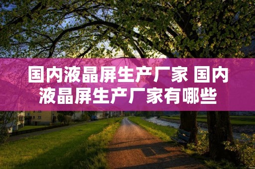 国内液晶屏生产厂家 国内液晶屏生产厂家有哪些