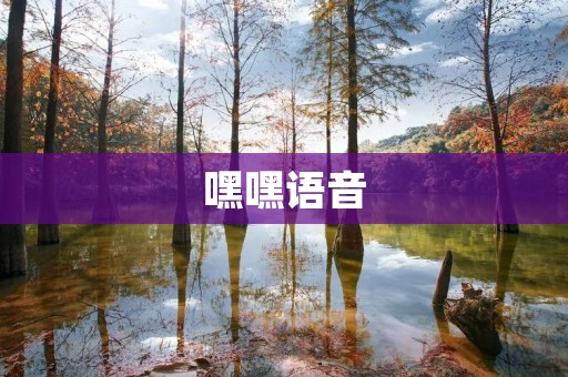 嘿嘿语音：打破沟通障碍的智能语音助手