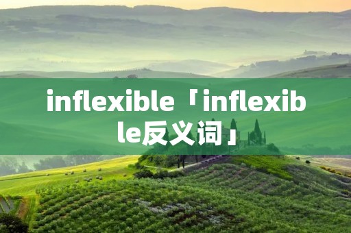 inflexible「inflexible反义词」