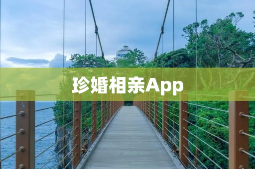 珍婚相亲App:寻找真爱的最佳平台 珍婚相亲App:寻找真爱的最佳平台