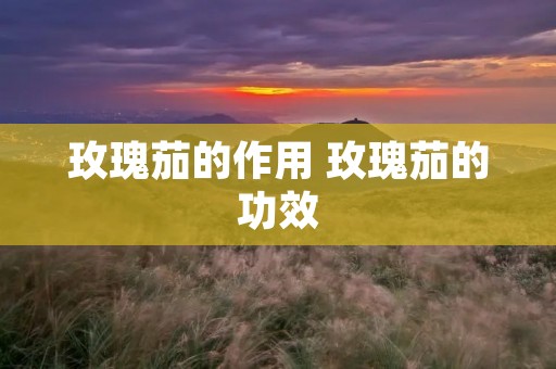 玫瑰茄的作用 玫瑰茄的功效 玫瑰茄的作用 玫瑰茄的功效