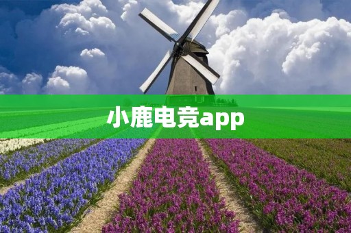 小鹿电竞app:打造专属电竞体验的绝佳选择 小鹿电竞app:打造专属电竞体验的绝佳选择